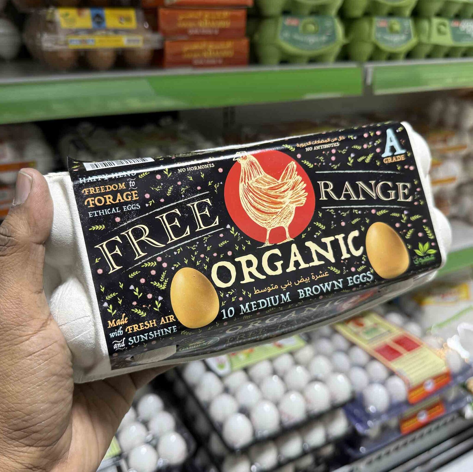 Organic eggs Dubai reviews hero image