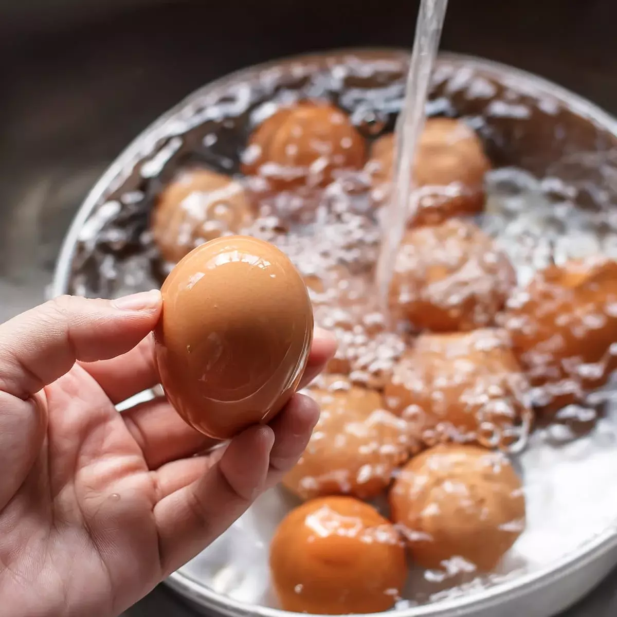 Freshly washed brown organic egg in hand – Gardenz UAE