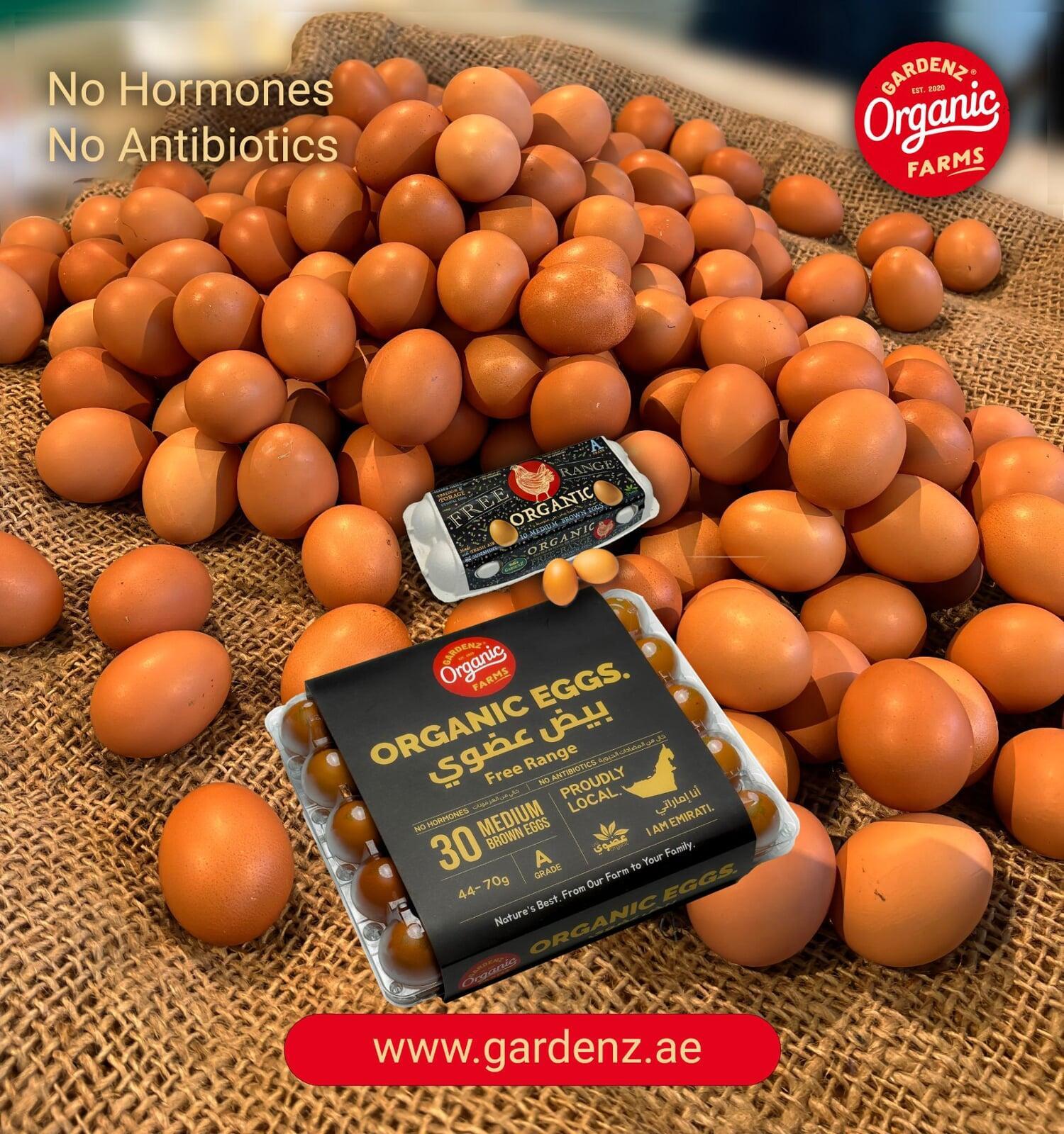 GardenZ organic brown eggs no hormones no antibiotics UAE