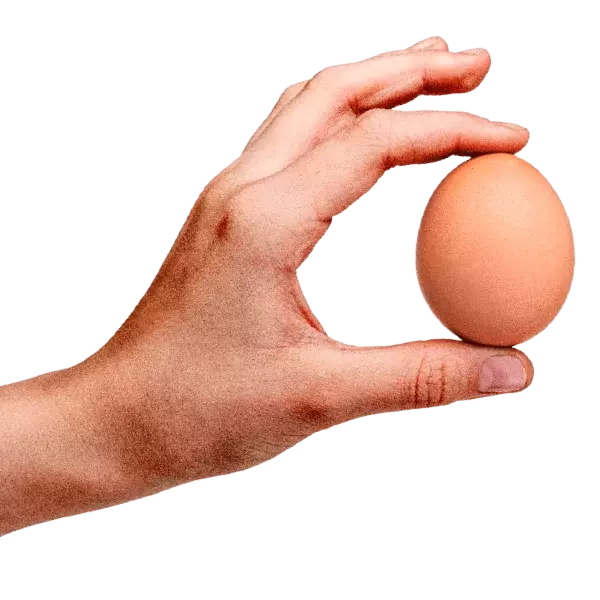 Close up of Gardenz organic egg tray label in UAE