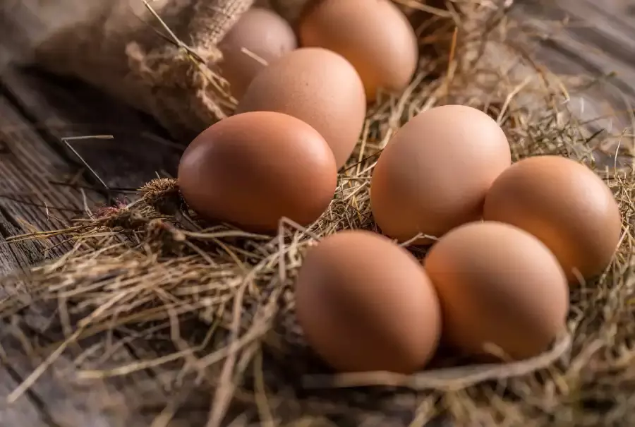 Egg nutrition and cholesterol UAE – Gardenz Organic Eggs