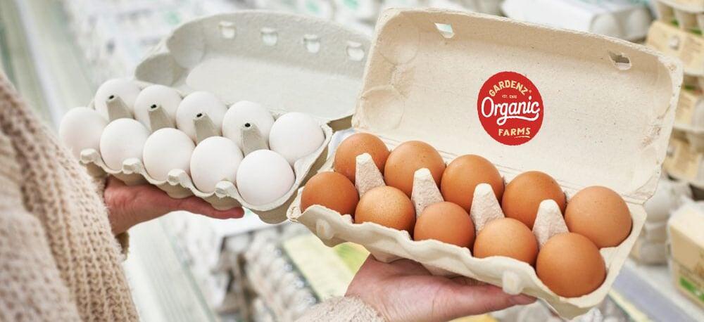 Imported eggs and UAE eggs concept image with tray of organic eggs