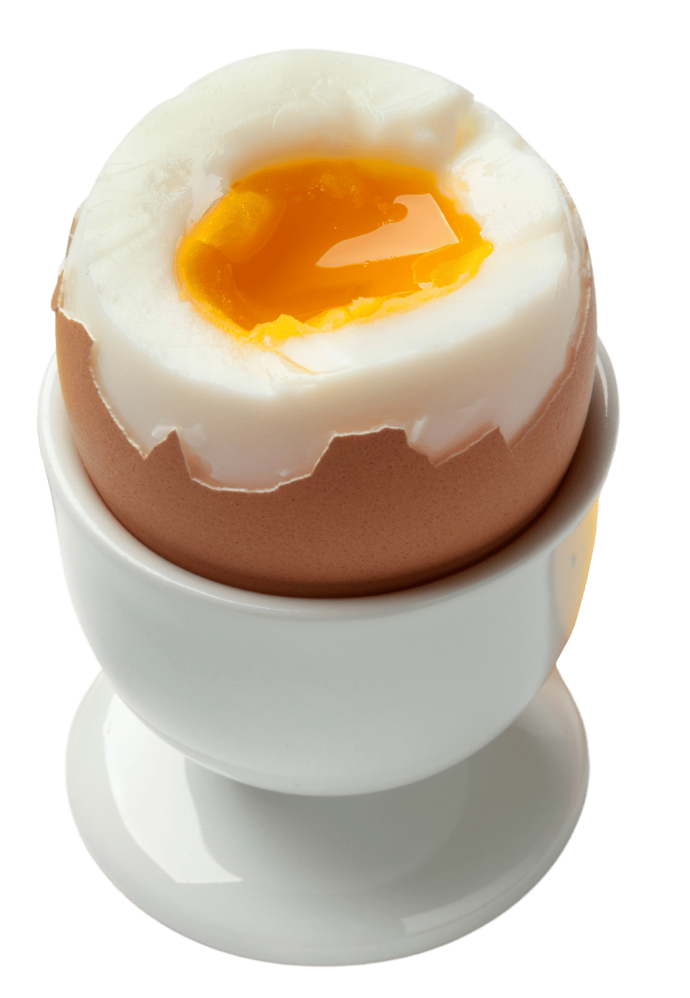 Egg protein nutrition - Gardenz UAE
